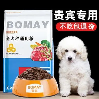 幾個(gè)月的狗狗可以換成犬糧