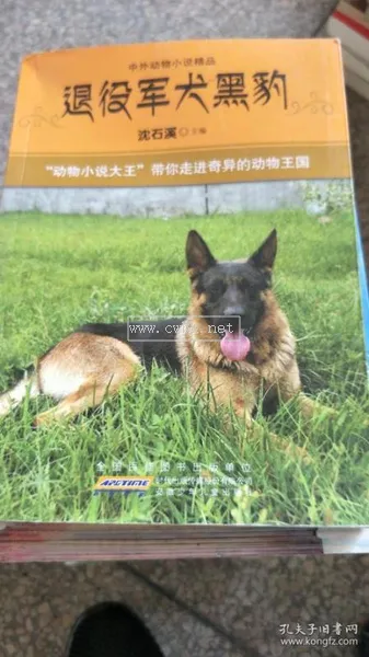 軍犬臺灣小說 