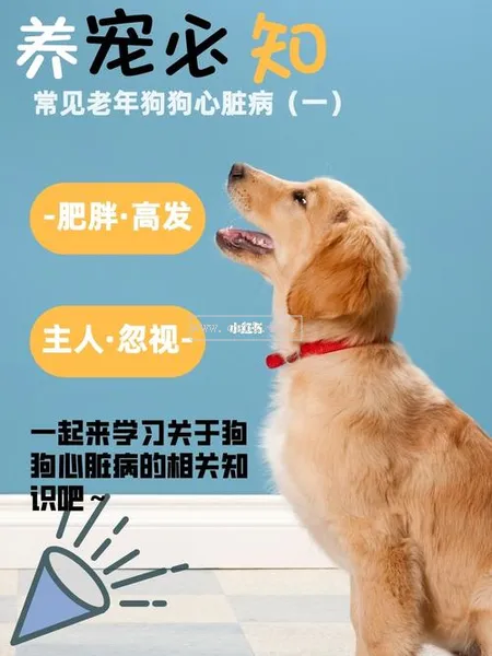 狗狗的心臟病的前兆