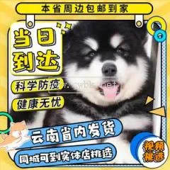 阿拉斯加和大白熊犬串 