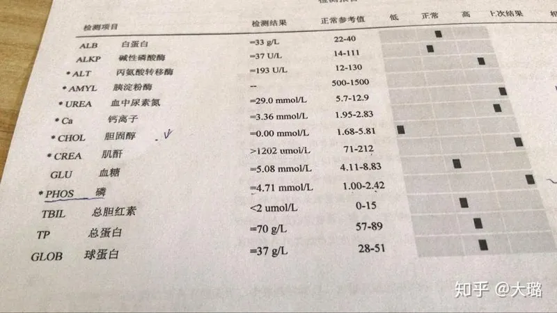 貓咪的肌酐147