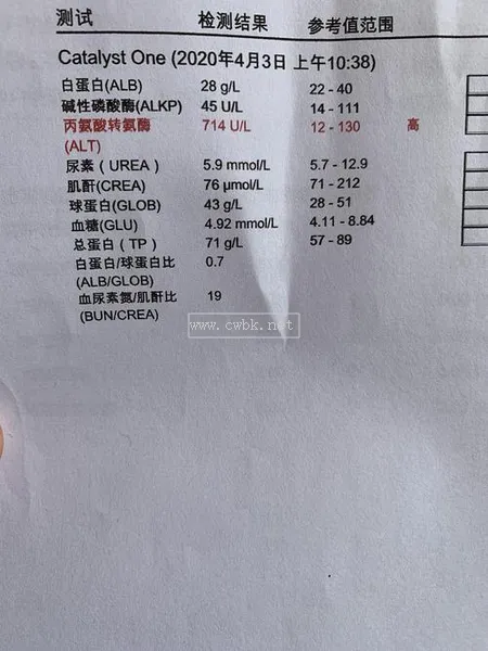 貓咪轉氨酶正常值