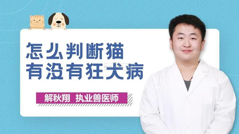 貓怎么才會得狂犬病