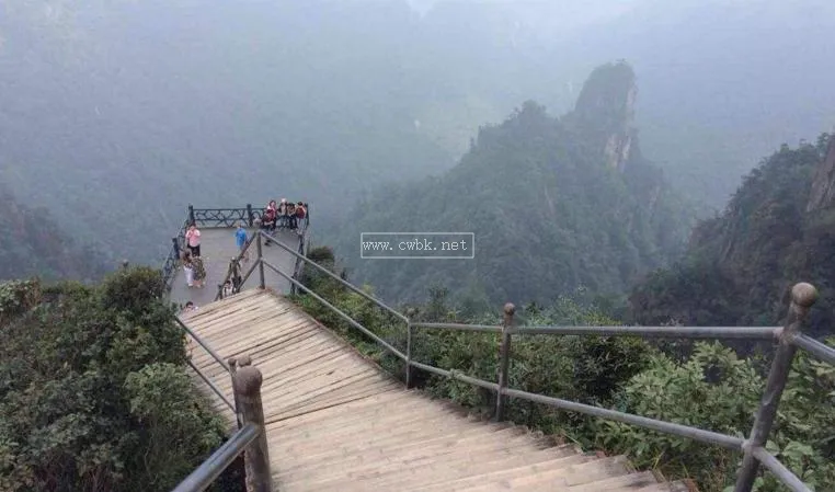 蟒山森林公園能帶狗嗎