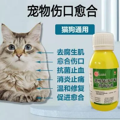 小狗的傷口用什么消毒