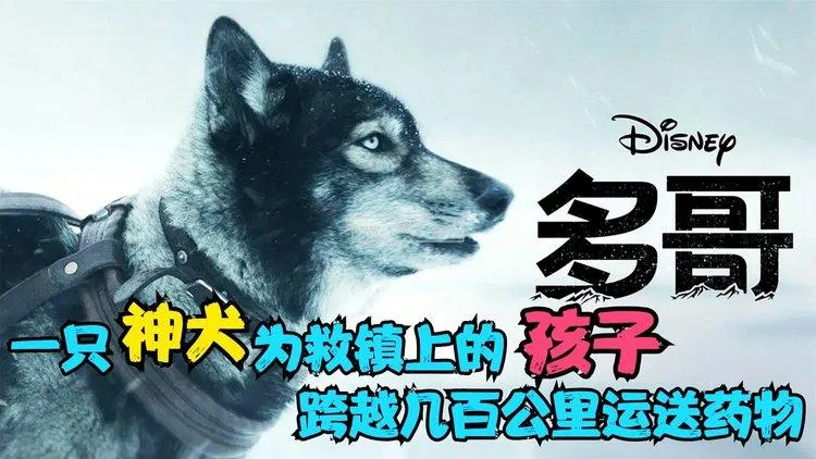 多哥是條什么犬