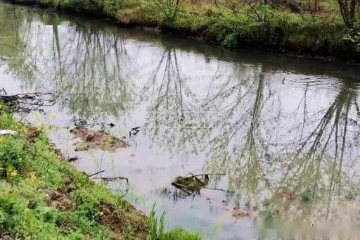 養魚場水質變黑臭