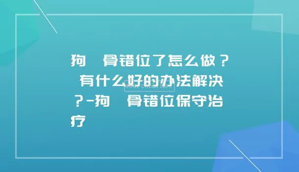 狗狗髕骨韌帶移動