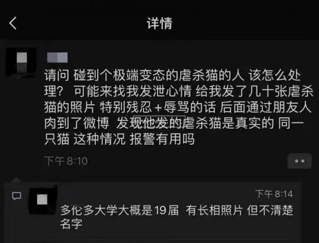 赤木剛憲虐貓事件圖片