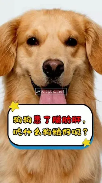 狗狗不能吃肝