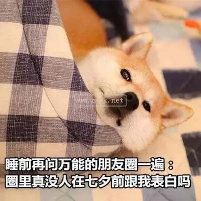 單身狗自嘲的段子 