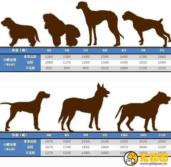 狗狗喂食量標準一覽，喂養劑量和體重有關(附帶食量對照表)