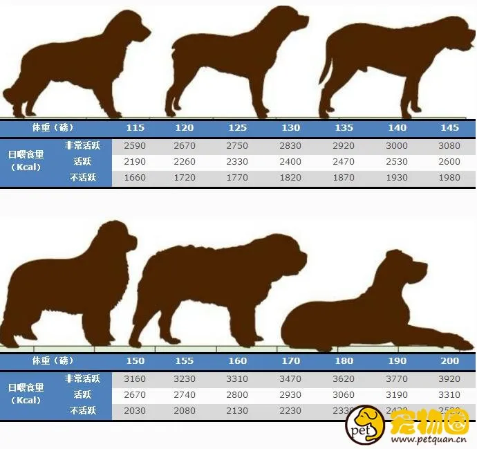 狗狗喂食量標準一覽，喂養劑量和體重有關(附帶食量對照表)