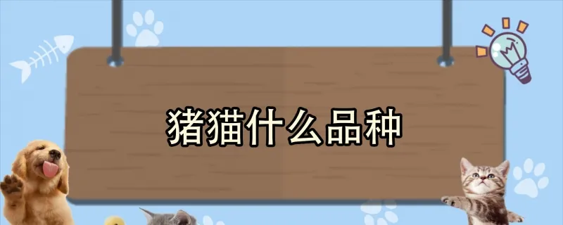 狼青一生認(rèn)幾個(gè)主人