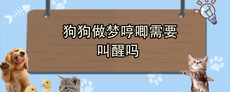 狗狗便秘了怎么辦 三個方法完美解決