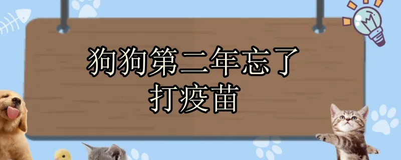 狗狗第一針疫苗和第二針隔多久