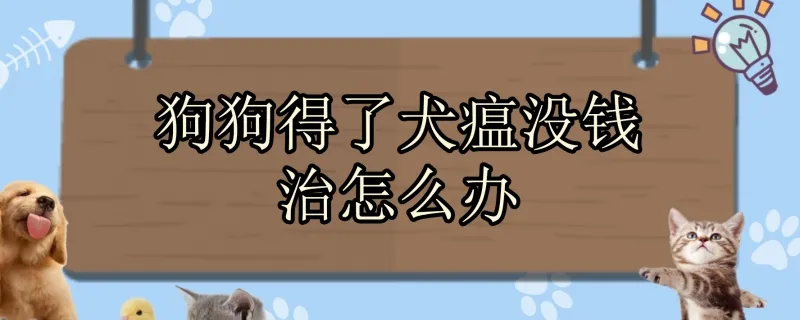 狗狗很健康突然吐黃水就死了