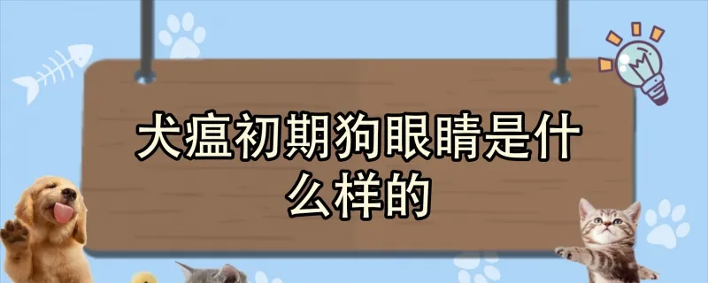 犬和狗是不是兩種動物