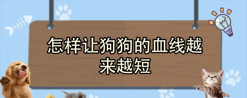 怎樣糾正狗狗的挑食行為