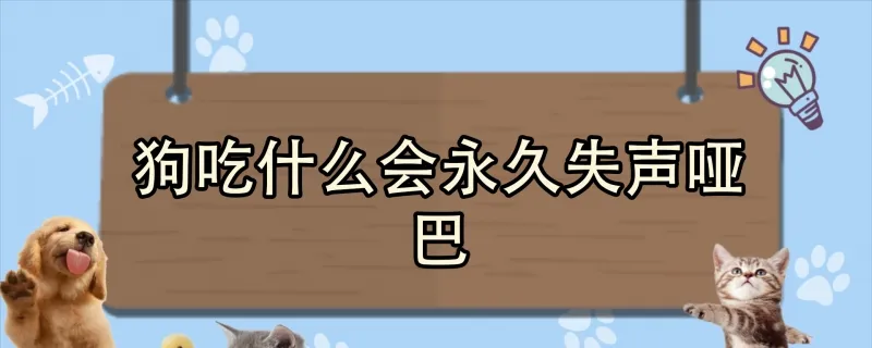 狗吃了驅蟲藥嘔吐了要緊嗎