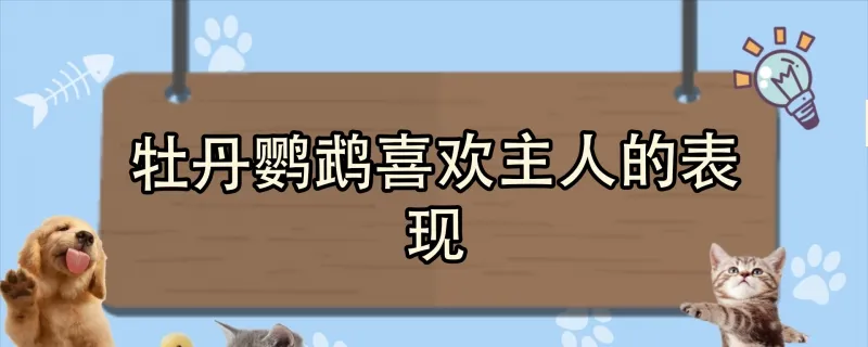 牛頭梗認幾個主人