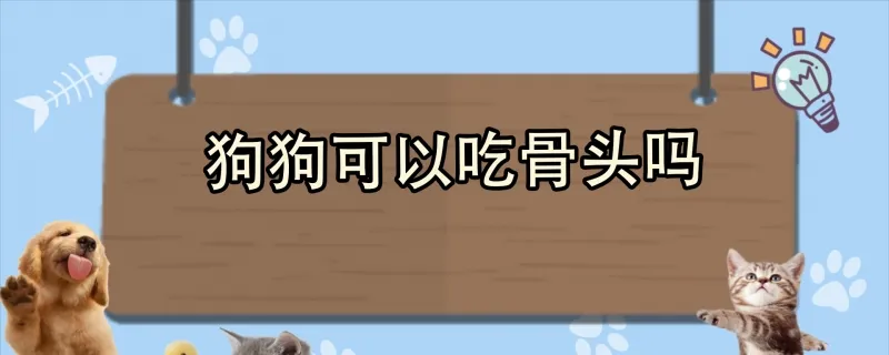 狗狗可以吃金槍魚貓罐頭嗎